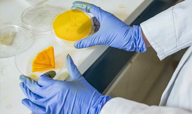 Parche para curar quemaduras.