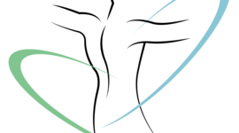 Timeline: lesiones en musculo