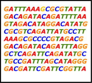 Craig Venter, Celera Genomics y Proyecto Genoma Humano