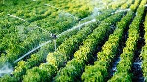 Mejoramiento de sistemas de irrigación de agua