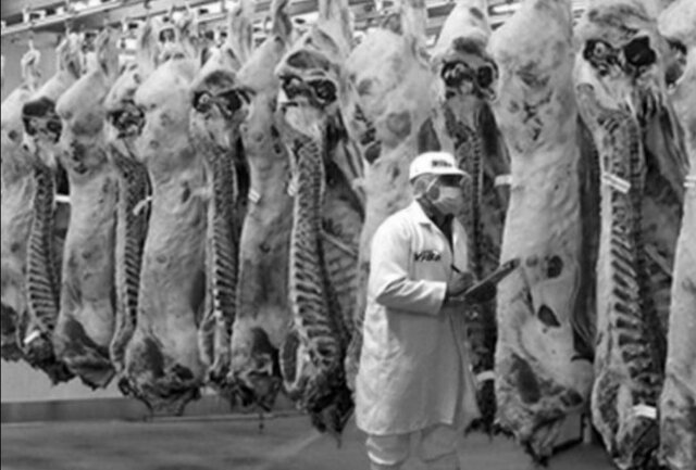 Ley de Carne Saludable