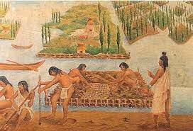 Teotihucan, canales o sistema de riego