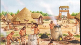 Timeline: Paralelismo entre la Medicina y la Fitopatología. Autor: Jhon J Alarcón