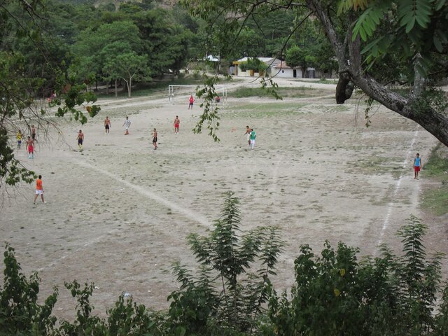 Apoyo técnico titulación a EDP_Ovejas