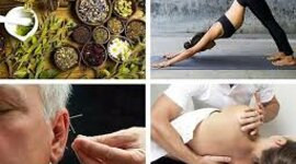 Timeline: Terapias Naturales