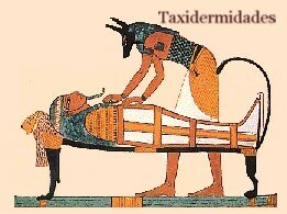 Embalsamiento de faraones