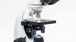 Timeline: La Evolución del Microscopio