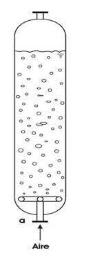 Biorreactor en columna