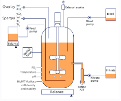 Biorreactores Fed-Bacht