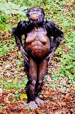 Aparición del Australopithecus