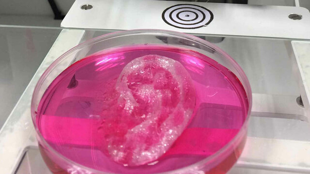 Biorreactor mejorado