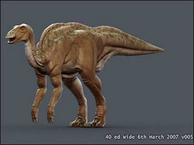 Dinosaur Mummy Found