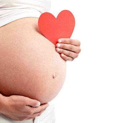 Timeline: Desarrollo Prenatal