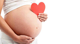 Timeline: Desarrollo Prenatal