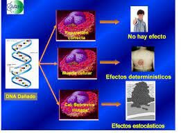 Comité internacional de protección radiológica