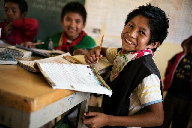 Atención educativa grupos étnicos