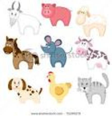 She lives north of chicago with her three kids, husband, four cats, two goats, two dogs, and her horse.