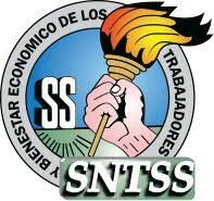 Creacion del SNTSS
