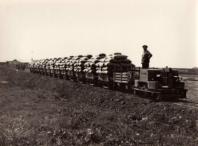 Primer Guerra Mundial