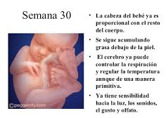 Semanas 27 a 30