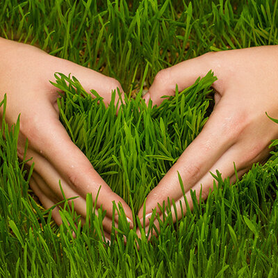 Timeline: DESARROLLO HISTORICO-TERAPIAS  NATURALES