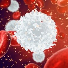 Conceptos de agentes infecciosos e inmunidad