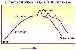 Ciclo de respuesta humana (Williams Masters y Virginia Johnson)