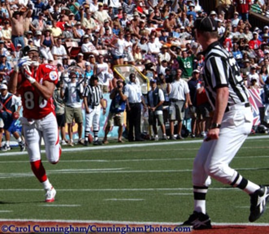 Hines Ward to Pro Bowl