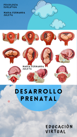 DESARROLLO PRENATAL-201607553