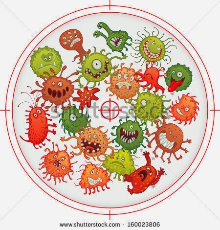 Estudio etiológico de las enfermedades.