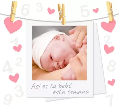 Bienvenido al mundo Bebè!