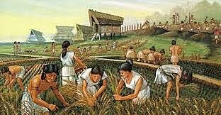 Neolítico 9000 a.C. - 4500 a.C.