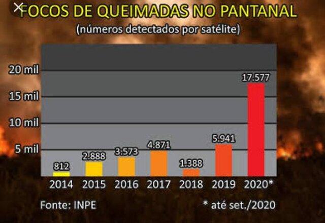 QUEIMADAS NO PANTANAL