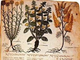 Medicines Still Used Today