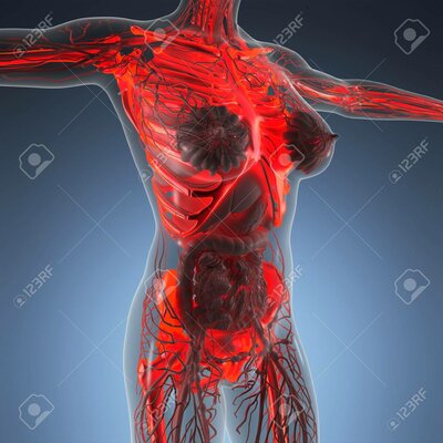 Timeline: Fase 1 – Presaberes y fundamentos - Rayos x  - Historia y Evolucion