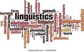 Professor in the Department of Modern Languages and Linguistics
