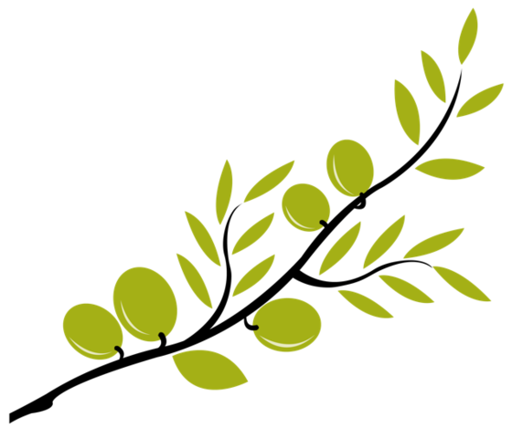 Olive Branch Petition