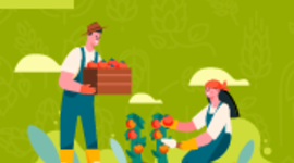 Timeline: DESARROLLO RURAL YPOLITICAS AGRARIAS EN COLOMBIA