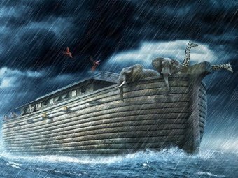 The flood