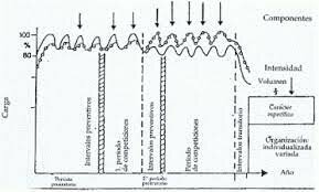 TSCHIENE- ESQUEMA ESTRUCTURAL DE ENTRENAMIENTO DE ALTOS RENDIMIENTOS