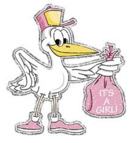 It's a Girl!