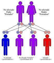 EFECTOS BIOLÓGICOS HEREDITARIOS