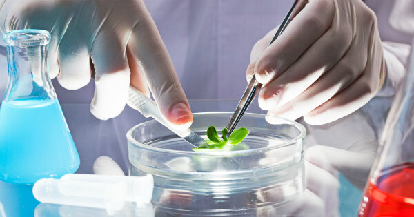 LA TEORÍA MICROBIANA SIN PASTEUR Y KOCH