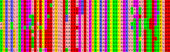 CLUSTAL simplificación del algoritmo Feng-Doolitle