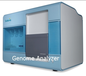Base de datos Genomas disponible en la web