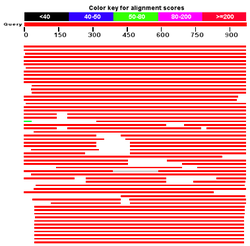 GenBank y la herramienta BLAST disponibles en Website