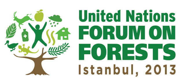 Foro de Bosques de la ONU