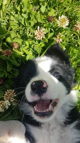 Travel to Villa de Leiva with our new mascot