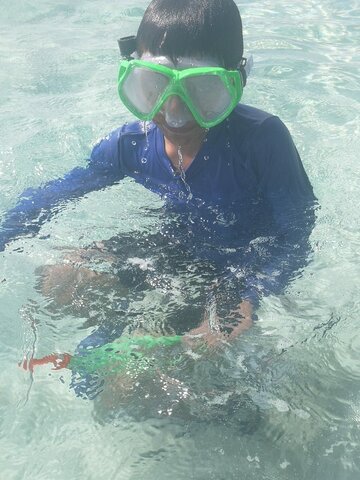We went swimming with stingrays