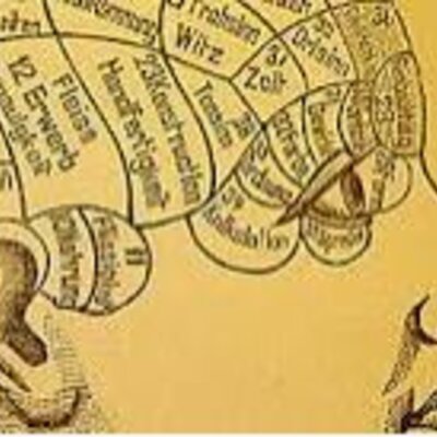 Timeline: Historia de los conceptos de causa y enfermedad: paralelismo entre la medicina y la fitopatología